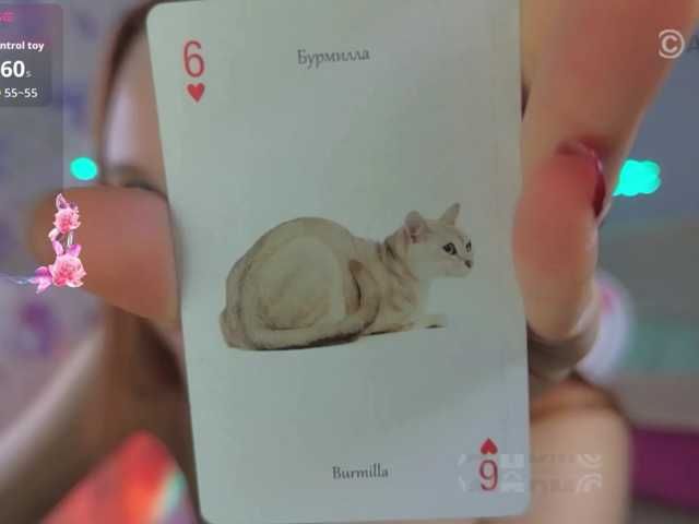 Armura