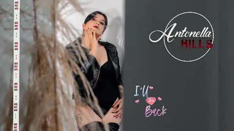 antonellahill_
