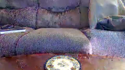 copper_crotch
