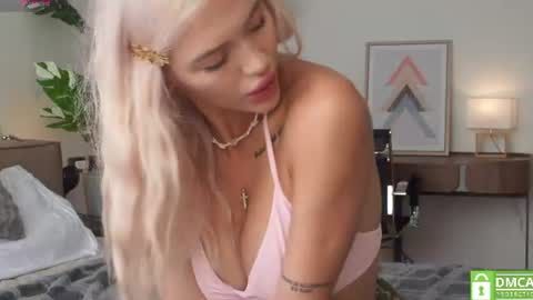 sweet bunny