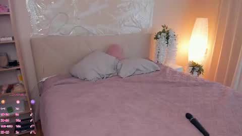 secret_des1res